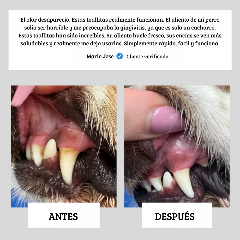 Toallitas Dentales Naturales Para Mascotas
